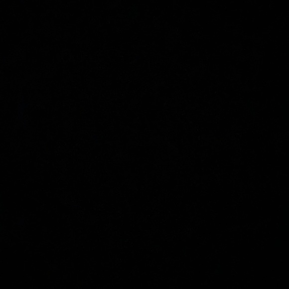 Meet your Posher, Giselle - Picture 1 of 1